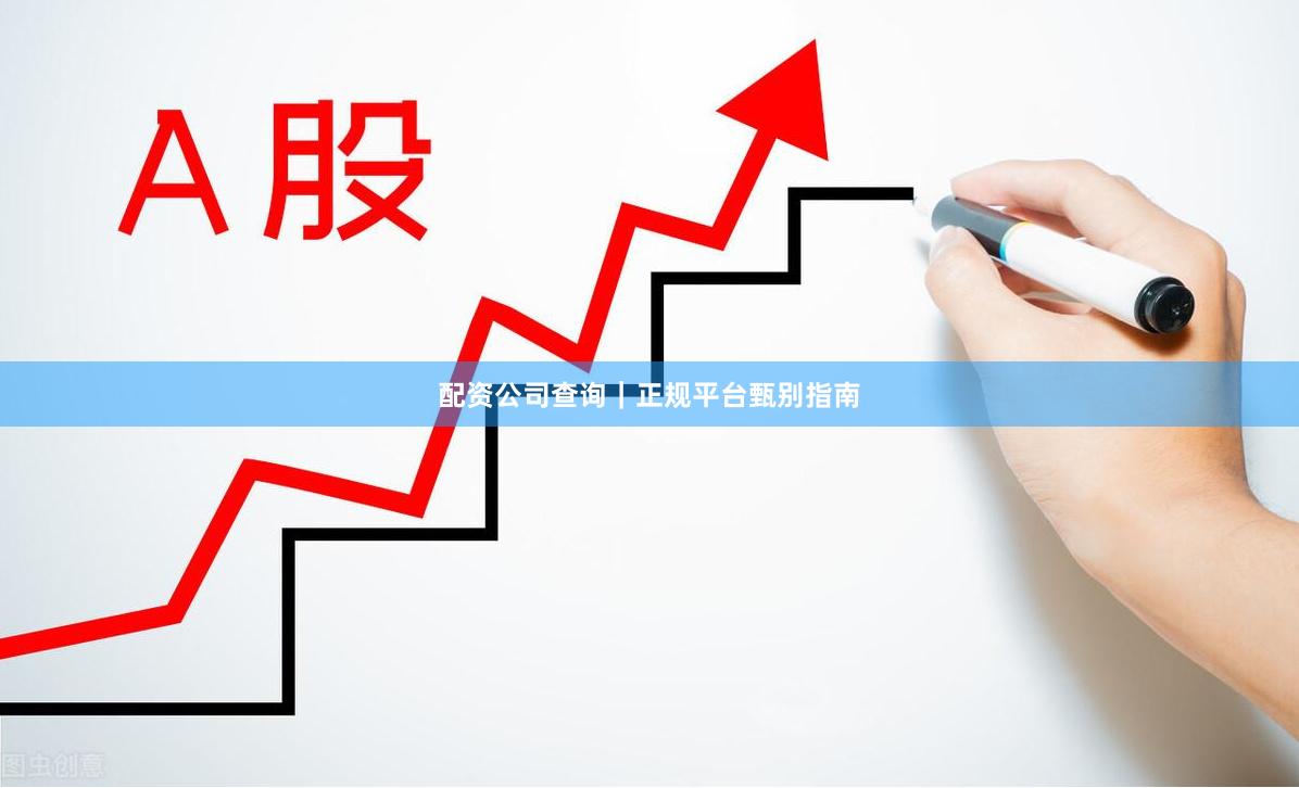 配资公司查询｜正规平台甄别指南